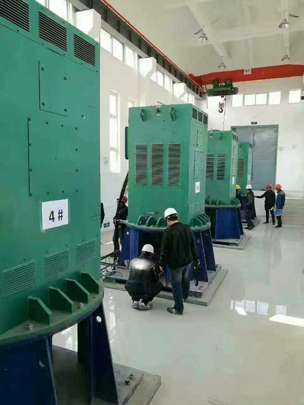 九江某污水处理厂使用我厂的立式高压电机安装现场