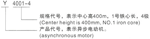 西安泰富西玛Y系列(H355-1000)高压九江三相异步电机型号说明
